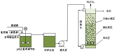 ADFB厌氧脱硝流体化床2.jpg